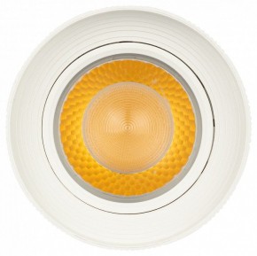 Светильник на штанге Эра  TR59 - 3030 WH в Ишиме - ishim.ok-mebel.com | фото 3