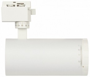 Светильник на штанге Эра  TR59 - 3030 WH в Ишиме - ishim.ok-mebel.com | фото 4