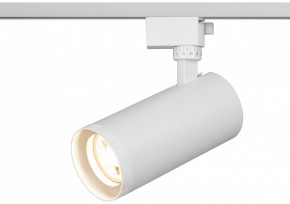 Светильник на штанге Эра  TR59 - 3030 WH в Ишиме - ishim.ok-mebel.com | фото 5