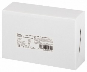 Светильник на штанге Эра  TRM-S5-3-12W4K-BK в Ишиме - ishim.ok-mebel.com | фото 8