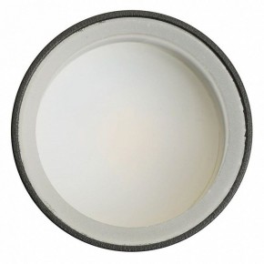 Светильник на штанге Feron ML1001 51371 в Ишиме - ishim.ok-mebel.com | фото 4