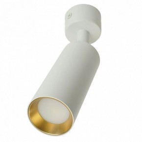 Светильник на штанге Feron ML1011 51380 в Ишиме - ishim.ok-mebel.com | фото 9