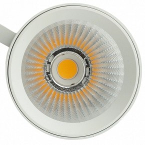 Светильник на штанге Feron TR Reflex 52058 в Ишиме - ishim.ok-mebel.com | фото 12