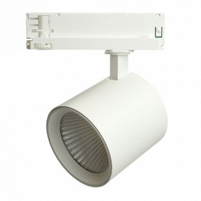 Светильник на штанге Feron TR Reflex 52058 в Ишиме - ishim.ok-mebel.com | фото 2