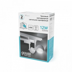 Светильник на штанге Gauss Track Light TR054 в Ишиме - ishim.ok-mebel.com | фото 5