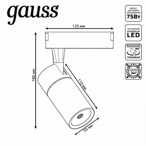 Светильник на штанге Gauss Track Light TR060 в Ишиме - ishim.ok-mebel.com | фото 5