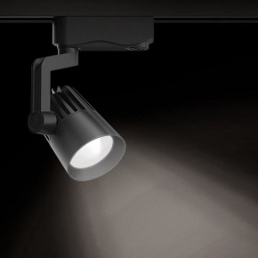 Светильник на штанге Gauss Track Light TR061 в Ишиме - ishim.ok-mebel.com | фото 2