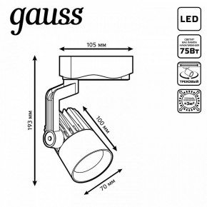 Светильник на штанге Gauss Track Light TR061 в Ишиме - ishim.ok-mebel.com | фото 6
