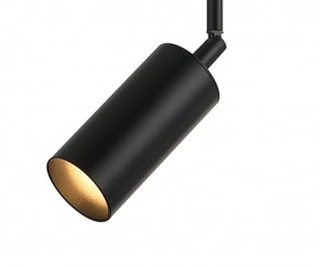 Светильник на штанге Kink Light Рия 07621-1,19 в Ишиме - ishim.ok-mebel.com | фото 2