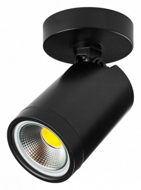 Светильник на штанге Lightstar Rullo 213407 в Ишиме - ishim.ok-mebel.com | фото