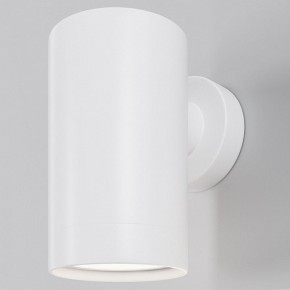 Светильник на штанге Maytoni Clyde O493WL-01W в Ишиме - ishim.ok-mebel.com | фото