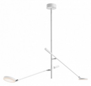 Светильник на штанге Maytoni Fad MOD070CL-L15W3K1 в Ишиме - ishim.ok-mebel.com | фото
