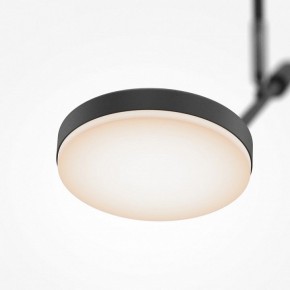 Светильник на штанге Maytoni Fad MOD070CL-L8B3K в Ишиме - ishim.ok-mebel.com | фото 4