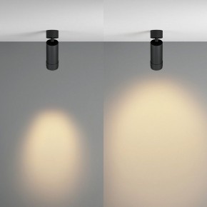 Светильник на штанге Maytoni Focus Zoom C055CL-L12W2.7K-Z-B в Ишиме - ishim.ok-mebel.com | фото 3