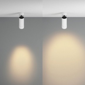 Светильник на штанге Maytoni Focus Zoom C055CL-L12W2.7K-Z-W в Ишиме - ishim.ok-mebel.com | фото 3