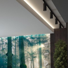Светильник на штанге Novotech Dep 358593 в Ишиме - ishim.ok-mebel.com | фото 4
