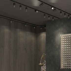 Светильник на штанге Novotech Elina 370777 в Ишиме - ishim.ok-mebel.com | фото 4