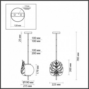 Светильник на штанге Odeon Light Jungle 4864/1 в Ишиме - ishim.ok-mebel.com | фото 3