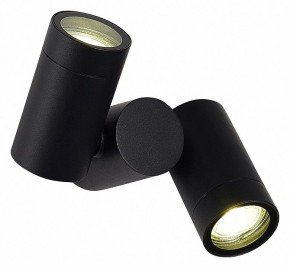 Светильник на штанге ST-Luce Ecollo SL9011.402.02 в Ишиме - ishim.ok-mebel.com | фото 2