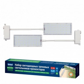 Светильник на штанге Uniel ULB-P37 UL-00012578 в Ишиме - ishim.ok-mebel.com | фото 2