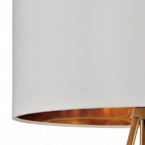 Торшер Lumion Tapioka 8077/1F в Ишиме - ishim.ok-mebel.com | фото 6