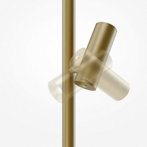 Торшер Maytoni Thin MOD395FL-L28BS3K в Ишиме - ishim.ok-mebel.com | фото 6