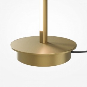 Торшер Maytoni Thin MOD395FL-L28BS3K в Ишиме - ishim.ok-mebel.com | фото 7