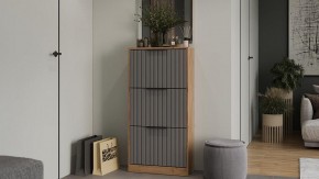 Тумба для обуви Хилтон в Ишиме - ishim.ok-mebel.com | фото 3