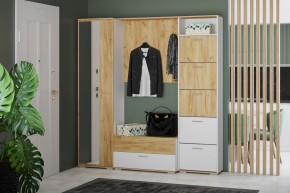 Тумба для обуви НМ 013.25 "Санти" (Белый/Крафт Золотой) в Ишиме - ishim.ok-mebel.com | фото 3