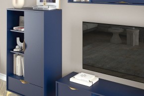 Тумба комбинированная Челси 469.02 в Ишиме - ishim.ok-mebel.com | фото 3