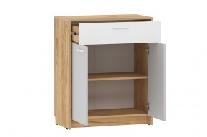Тумба НМ 013.76 "Нортон" (Крафт Золотой) в Ишиме - ishim.ok-mebel.com | фото 2