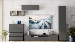 Тумба под ТВ Сибити в Ишиме - ishim.ok-mebel.com | фото 3
