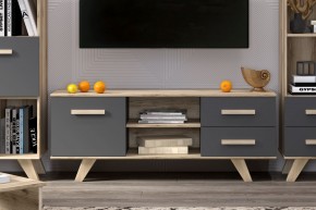 Тумба под ТВ Вега Скандинавия в Ишиме - ishim.ok-mebel.com | фото 7