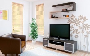 Тумба ТВ Майкл в Ишиме - ishim.ok-mebel.com | фото