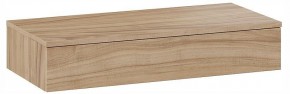 Тумбочка навесная ТД-102.08.02 в Ишиме - ishim.ok-mebel.com | фото 3