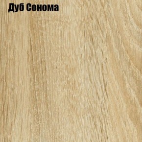 Угловой шкаф-купе Лофт (Дуб Сонома) в Ишиме - ishim.ok-mebel.com | фото 3