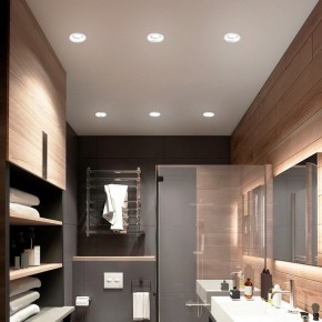 Встраиваемый светильник Feron DL362 48813 в Ишиме - ishim.ok-mebel.com | фото 4