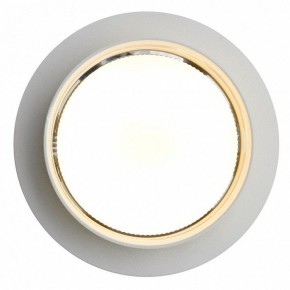 Встраиваемый светильник Feron DL502 51089 в Ишиме - ishim.ok-mebel.com | фото 5