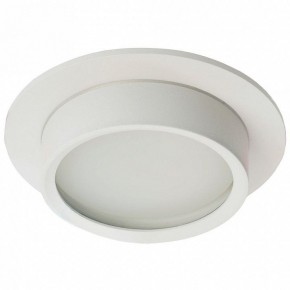 Встраиваемый светильник Feron DL504 51101 в Ишиме - ishim.ok-mebel.com | фото 2