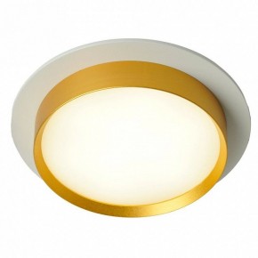 Встраиваемый светильник Feron DL507 51354 в Ишиме - ishim.ok-mebel.com | фото 3