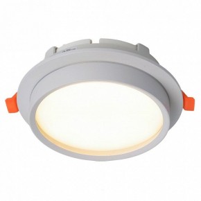 Встраиваемый светильник Feron DL704 51105 в Ишиме - ishim.ok-mebel.com | фото 2