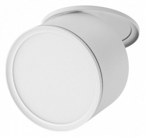 Встраиваемый светильник Lightstar Acuto 215856 в Ишиме - ishim.ok-mebel.com | фото