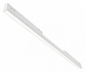 Встраиваемый светильник Maytoni Basis TR030-4-30WTW-DD2-W в Ишиме - ishim.ok-mebel.com | фото